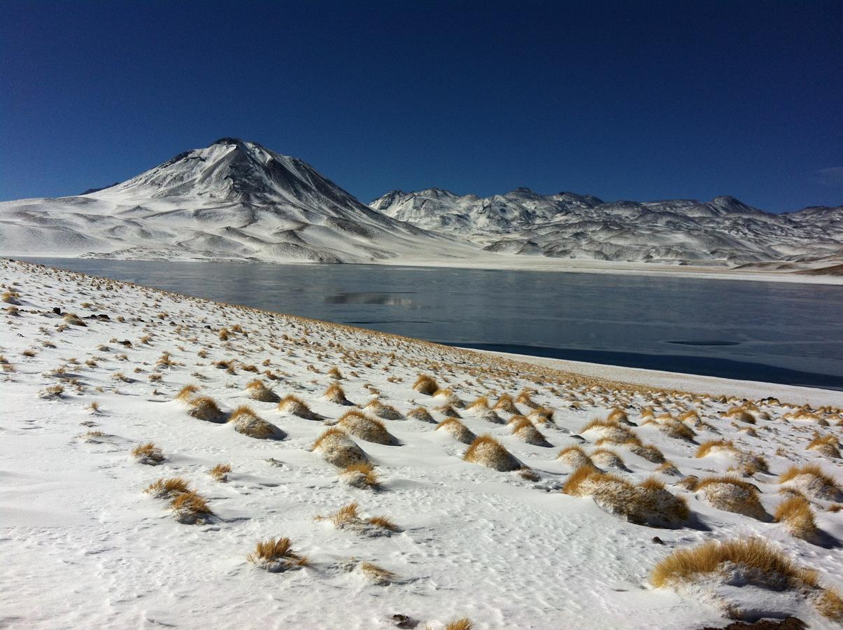 Cota6000 Dpto A Villa San Pedro de Atacama Eksteriør billede