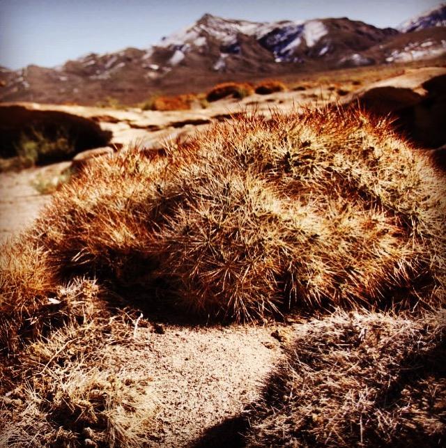 Cota6000 Dpto A Villa San Pedro de Atacama Eksteriør billede